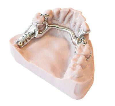 MODEL - Dental Model Resin 4